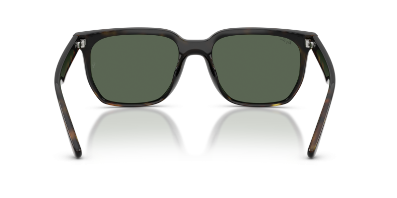 Rayban RB4466D 710/71 ขาแว่นด้านใน