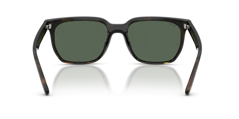 Rayban RB4466D 710/71 ขาแว่นด้านใน