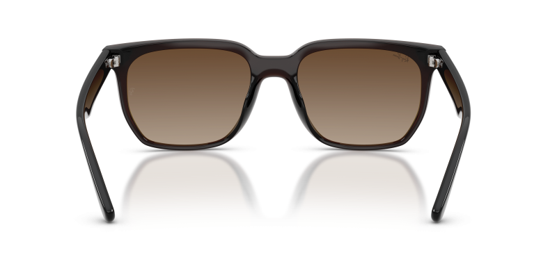 Rayban RB4466D-714/13 714/13 ขาแว่นด้านใน