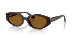 แว่นกันแดด Rayban RB4473D-714/83 Dark Brown Dark Brown Polarized Rayban RB4473D-714/83 714/83 แว่นกันแดดสีน้ำตาลเข้ม สำหรับทุกเพศ