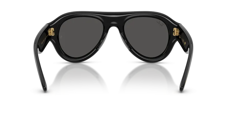 Rayban RB4925-601/87 601/87 ขาแว่นด้านใน