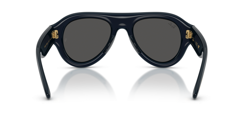 Rayban RB4925-689587 689587 ขาแว่นด้านใน