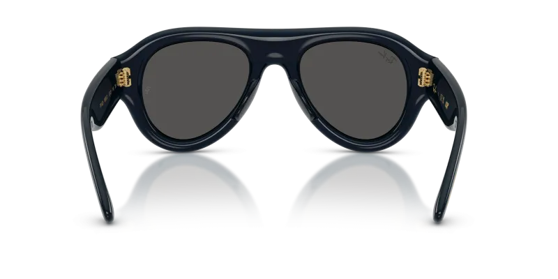 Rayban RB4925-689587 689587 ขาแว่นด้านใน