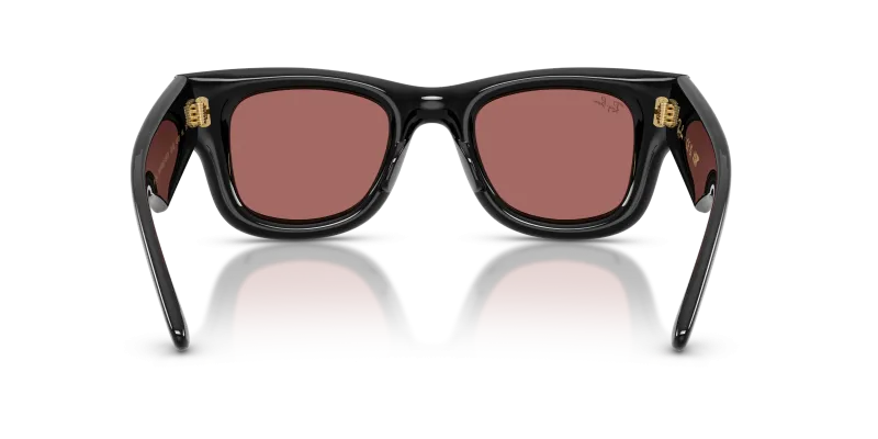 Rayban RB4940 601/69 ขาแว่นด้านใน