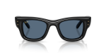 Rayban RB4940 601/80 ด้านหน้า