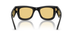 Rayban RB4940 601/85 ขาแว่นด้านใน