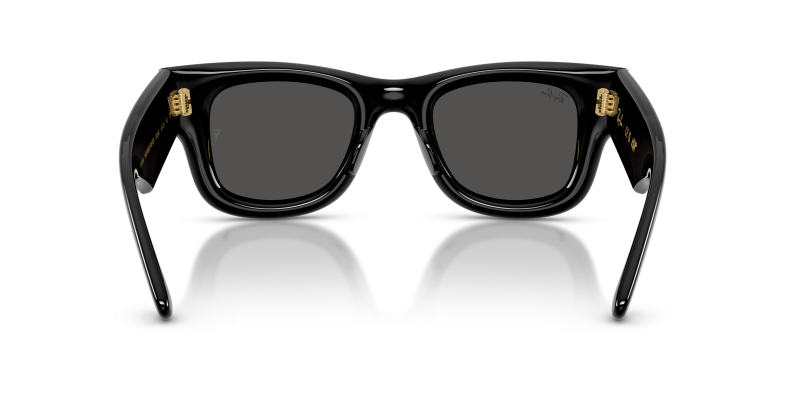 Rayban RB4940 601/87 ขาแว่นด้านใน