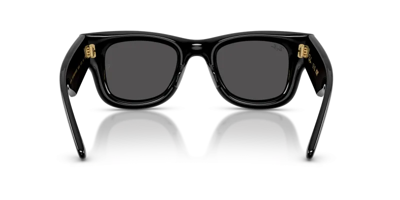 Rayban RB4940 601/87 ขาแว่นด้านใน