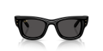 Rayban RB4940 601/87 ด้านหน้า