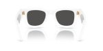 Rayban RB4940 671/87 ขาแว่นด้านใน