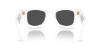 Rayban RB4940 671/87 ขาแว่นด้านใน