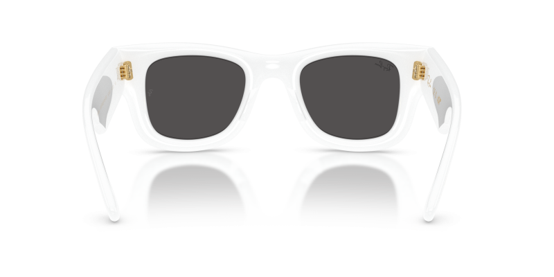 Rayban RB4940 671/87 ขาแว่นด้านใน