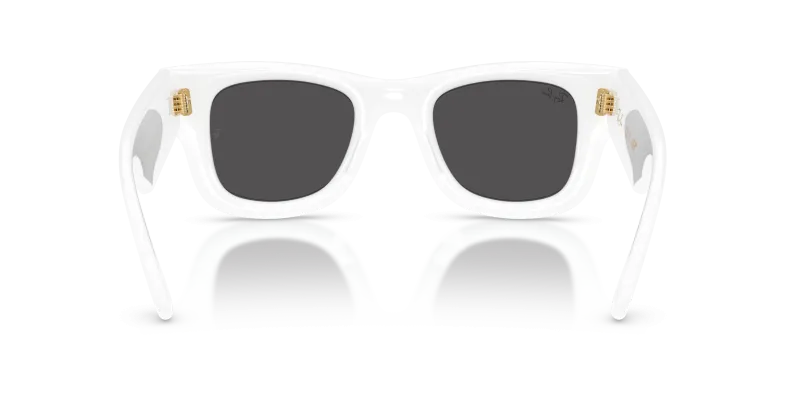 Rayban RB4940 671/87 ขาแว่นด้านใน