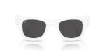 Rayban RB4940 671/87 ด้านหน้า
