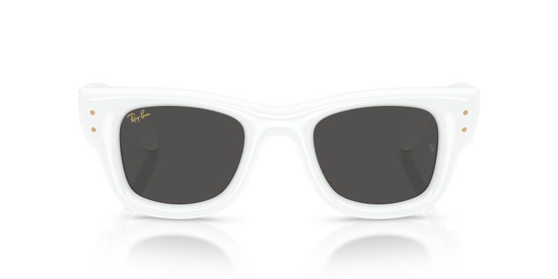 Rayban RB4940 671/87 ด้านหน้า