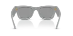 Rayban RB4940 6876/1 ขาแว่นด้านใน