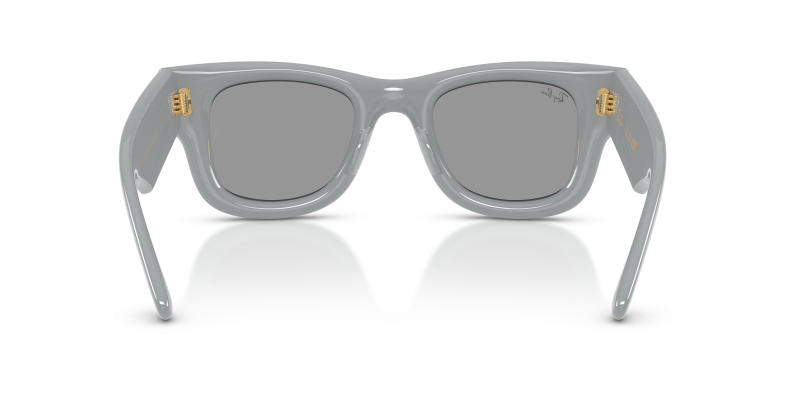 Rayban RB4940 6876/1 ขาแว่นด้านใน