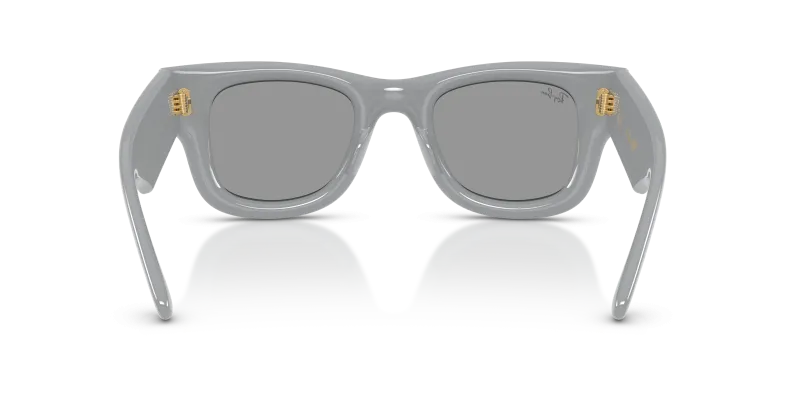 Rayban RB4940 6876/1 ขาแว่นด้านใน