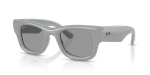 Rayban RB4940 6876/1 แว่นกันแดดกรอบเทาสดเลนส์เทา ยูนิเซ็กซ์