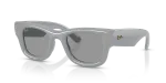 Rayban RB4940 6876/1 แว่นกันแดดกรอบเทาสดเลนส์เทา ยูนิเซ็กซ์
