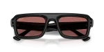 แว่นกันแดด Rayban RB4954-601/69 Black Dark Violet Rayban RB4954-601/69 601/69 close-up ด้านหน้า