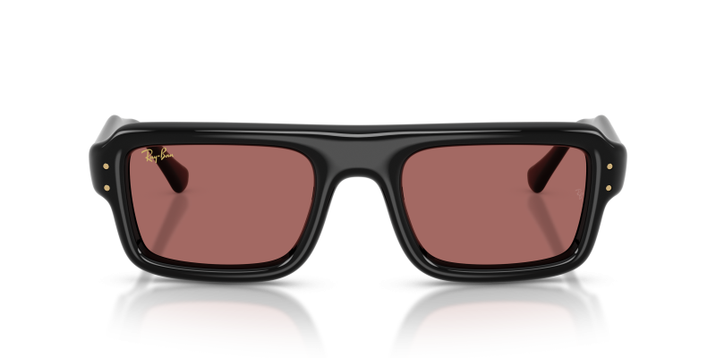 Rayban RB4954-601/69 601/69 ด้านหน้า