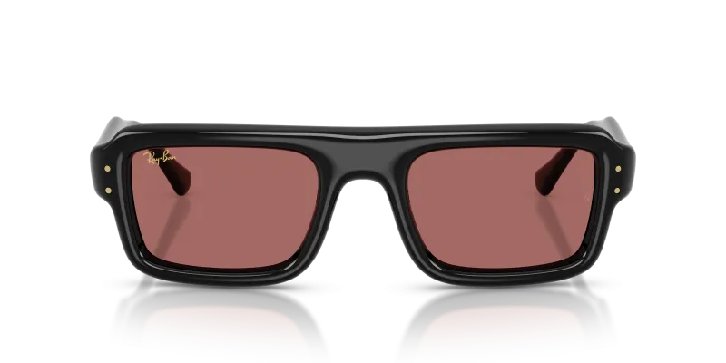 Rayban RB4954-601/69 601/69 ด้านหน้า