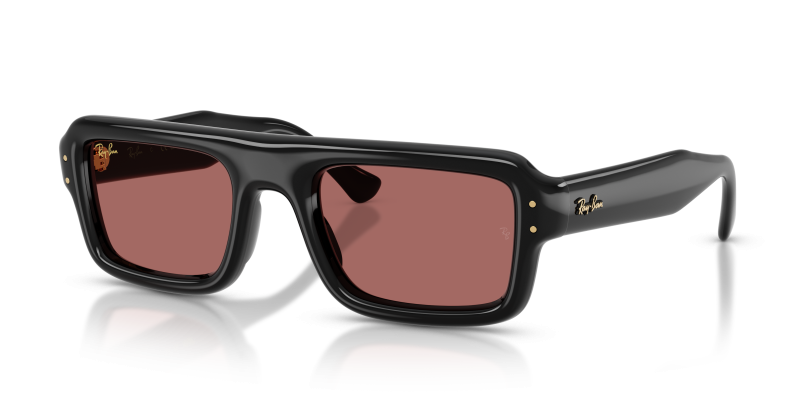 Rayban RB4954-601/69 601/69 แว่นกันแดด