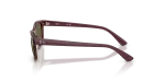 แว่นกันแดด Rayban RJ9086SF-7197/3 Transparent Violet Brown แว่นกันแดด Rayban RJ9086SF-7197/3 มุมข้าง ขาแว่นสีม่วง