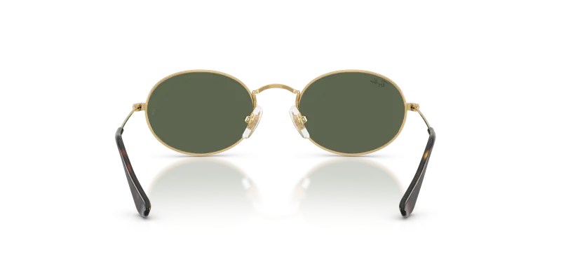Rayban RJ9645S 223/71 ขาแว่นด้านใน