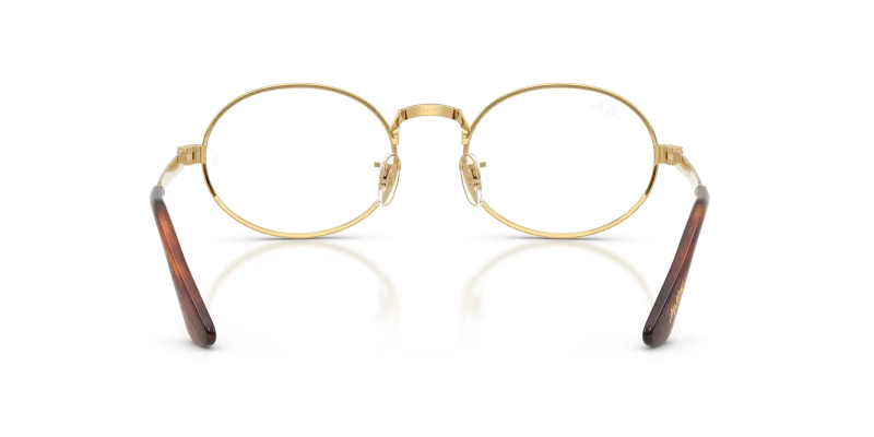 Rayban RX3931V-2500 2500 ขาแว่นด้านใน
