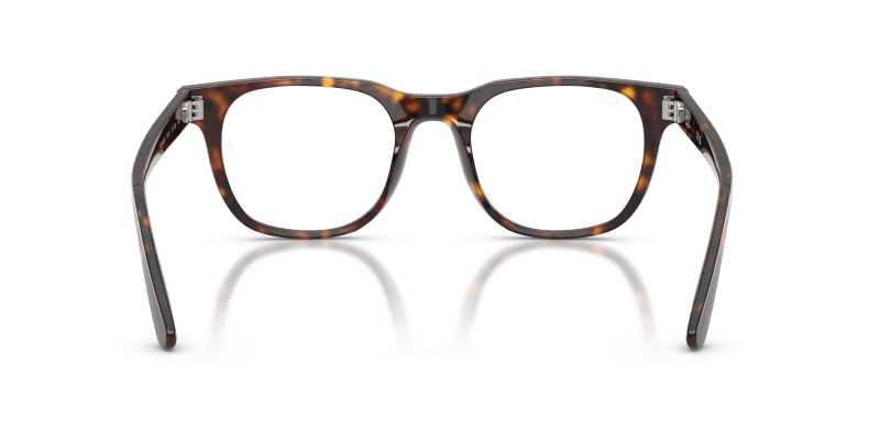 Rayban RX5461D 2012 ขาแว่นด้านใน
