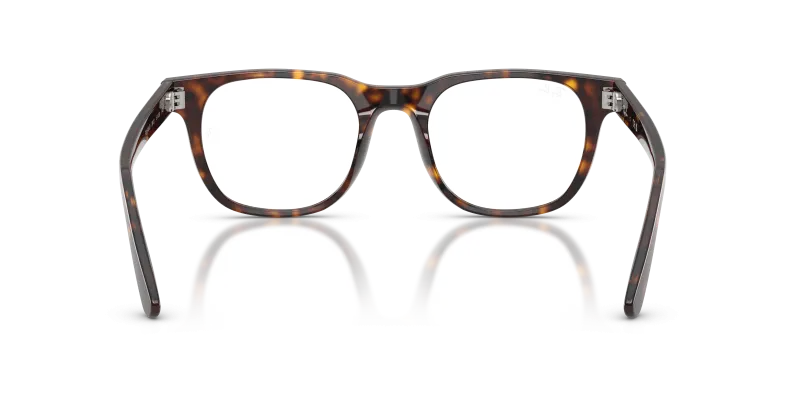 Rayban RX5461D 2012 ขาแว่นด้านใน