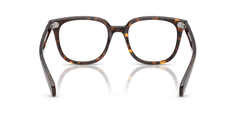Rayban RX5535F 2012 ขาแว่นด้านใน