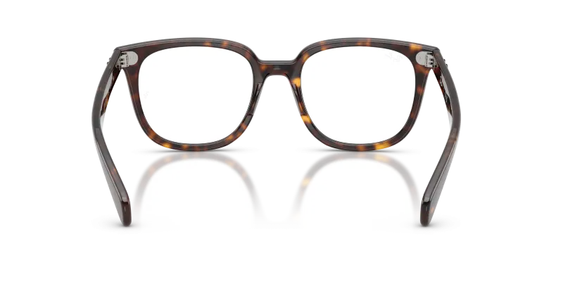 Rayban RX5535F 2012 ขาแว่นด้านใน
