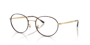 Rayban RX6558 3177 แว่นสายตาลายฮาวานาพื้นทอง ทั้งสองเพศ