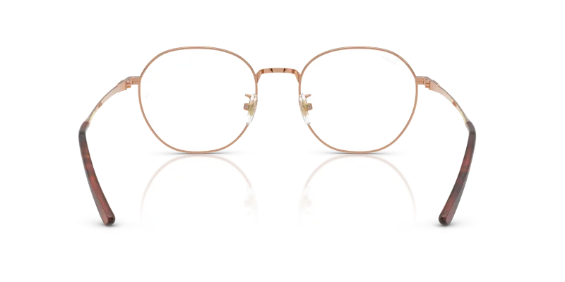 Rayban RX8778D 1245 ขาแว่นด้านใน