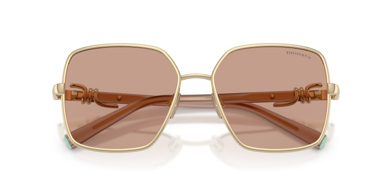 แว่นกันแดด Tiffany & Co TF3122-602173 close-up ด้านหน้า