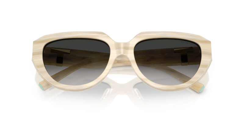 Tiffany & Co TF4238U-84313C 84313C close-up ด้านหน้า