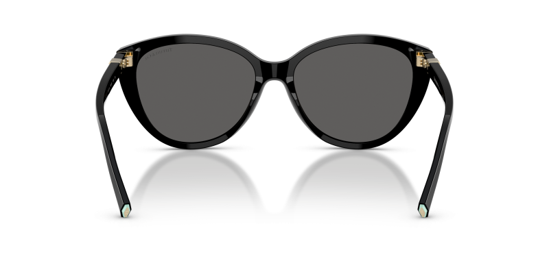 Tiffany & Co TF4251F-8001S4 8001S4 ขาแว่นด้านใน