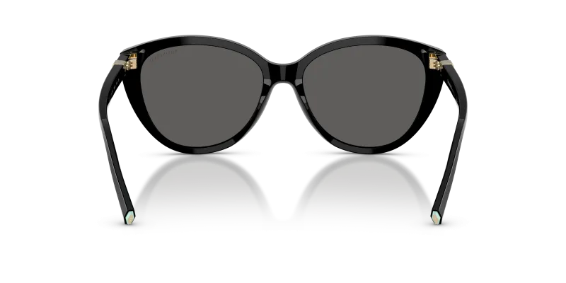 Tiffany & Co TF4251F-8001S4 8001S4 ขาแว่นด้านใน