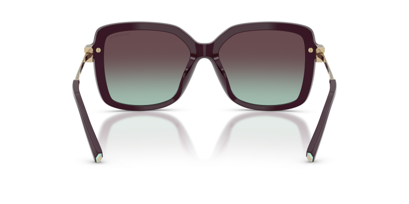 Tiffany & Co TF4252B-8427V7 8427V7 ขาแว่นด้านใน