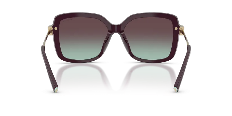 Tiffany & Co TF4252B-8427V7 8427V7 ขาแว่นด้านใน