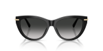 แว่นกันแดด Tiffany & Co TF4253F-80013C Black Grey Gradient Tiffany & Co TF4253F 80013C ด้านหน้า