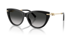 แว่นกันแดด Tiffany & Co TF4253F-80013C Black Grey Gradient Tiffany & Co TF4253F 80013C แว่นกันแดดทรงตาแมวสีดำ สำหรับผู้หญิง
