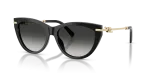 แว่นกันแดด Tiffany & Co TF4253F-80013C Black Grey Gradient Tiffany & Co TF4253F 80013C แว่นกันแดดทรงตาแมวสีดำ สำหรับผู้หญิง