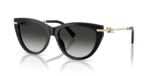 Tiffany & Co TF4253F 80013C แว่นกันแดดทรงตาแมวสีดำ สำหรับผู้หญิง