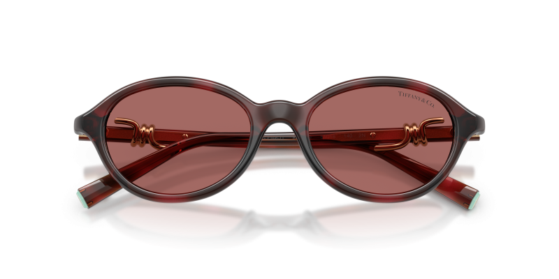 แว่นกันแดด Tiffany & Co TF4266U-847269 close-up ด้านหน้า