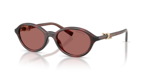 แว่นกันแดด Tiffany & Co TF4266U-847269 มุมเฉียง สี Ruby Havana สำหรับผู้หญิง