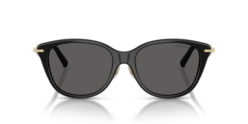 แว่นกันแดด Tiffany & Co TF4267F-8001S4 ด้านหน้า